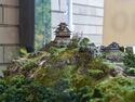 Gifu4.jpg
