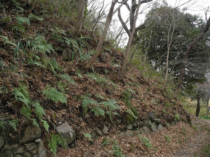 File:Iimori45.jpg