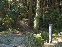 Kokashingushi1.jpg