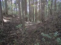 MikawaHabujou003.jpg
