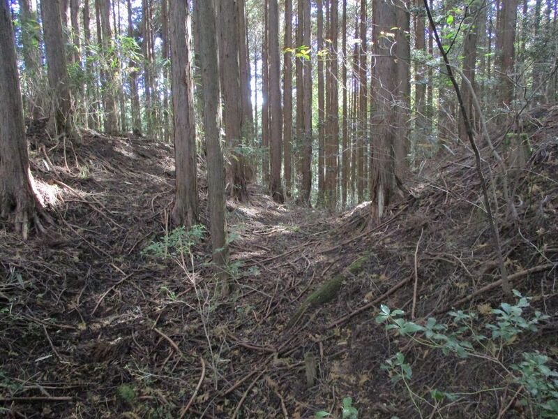 File:MikawaHabujou003.jpg
