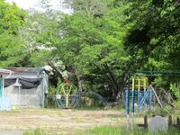 NagasawaGoten.jpg