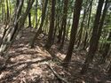 Nakataniyama24.jpg