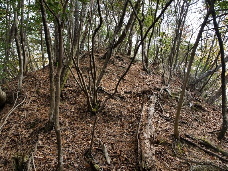 File:Shishiudokyoto5.jpg