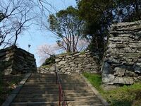 Tokushima9.jpg