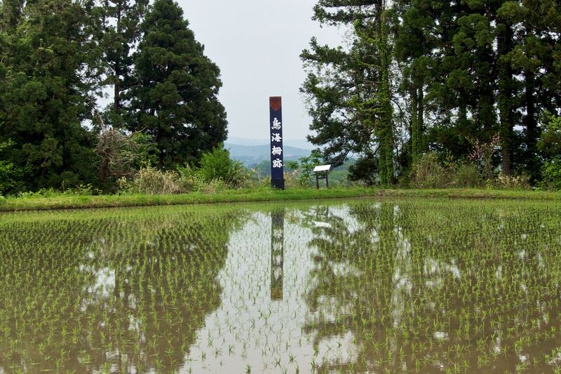 File:Tonomi9.jpg