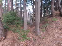 筑摩竹田城10hori.JPG