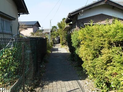 Dontsukihikone2.jpg