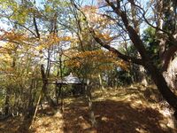 Hachikenchoujajou (6).JPG