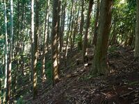 Higashigoma12.jpg