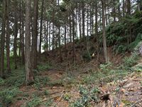 Kannosankyoto3.jpg