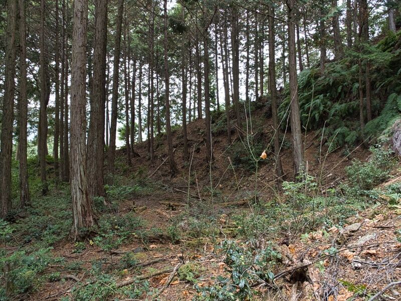File:Kannosankyoto3.jpg