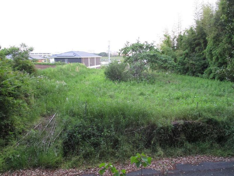 File:MikawaMorijou (15).jpg