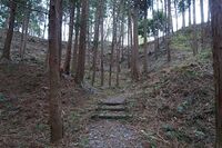 Minagawa24.jpg