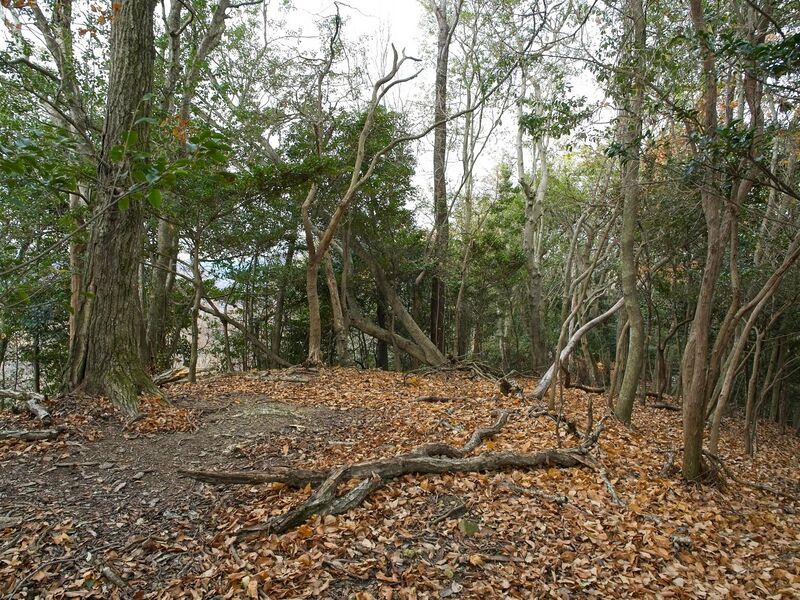 File:Nakaokyoto13.jpg