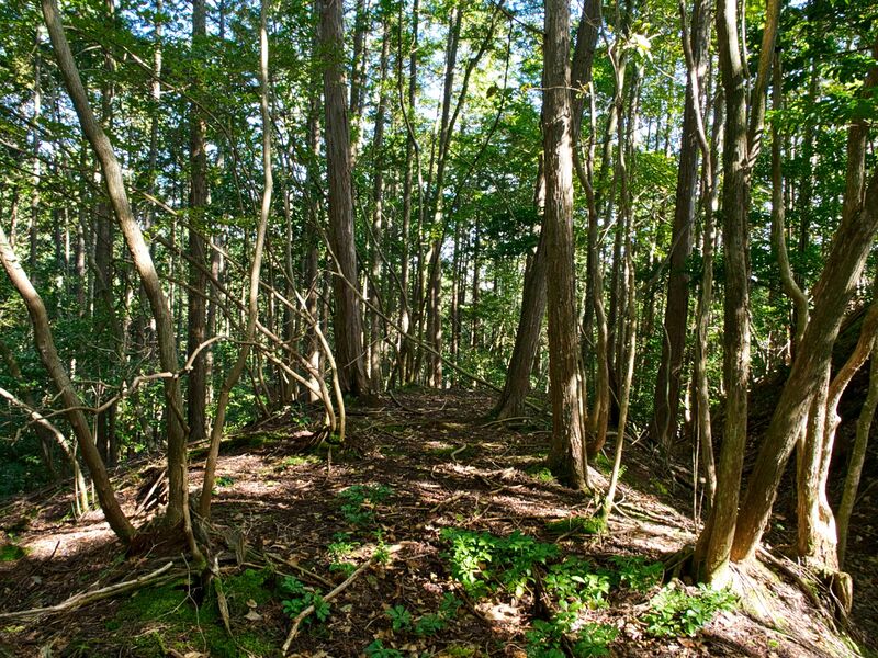 File:Obatatanba15.jpg