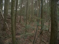 Ogawanishinokoka30.jpg