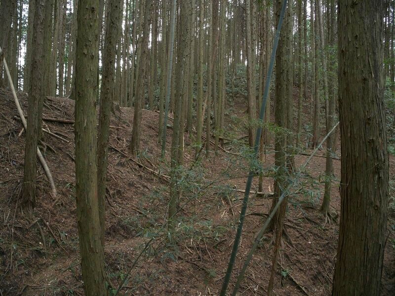 File:Ogawanishinokoka30.jpg