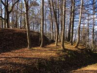 SakuTaguchijouD (1).JPG