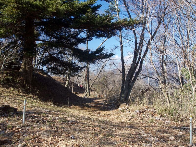 File:Iwadono30.jpg