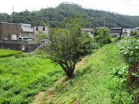 KubodonoYashiki (2).JPG