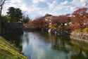 Matsumoto9.jpg
