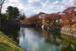 Matsumoto9.jpg