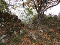 MurakamiKokuzousanjou10.JPG