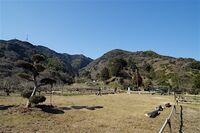 Ojima8.jpg