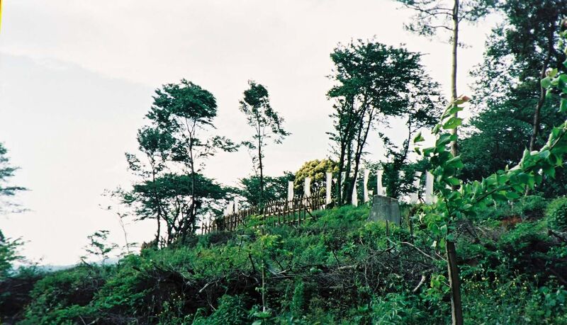 File:OkayamaJinjiro03.jpg