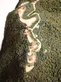 Shiro models (8).JPG