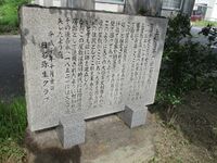 HinaYashiki (1).JPG