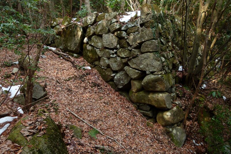 File:Kannonji Castle 306 Hidden Gate 2018.jpg