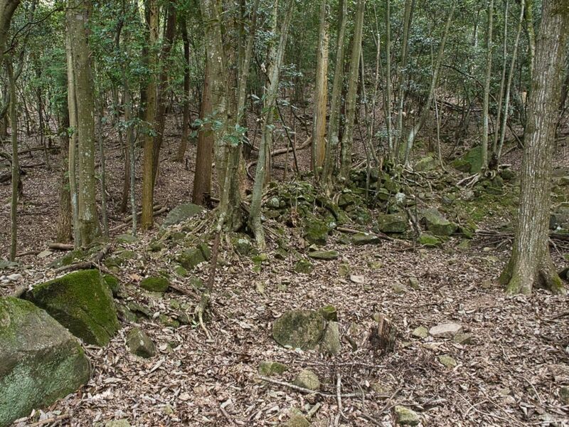File:Kohyama49.jpg