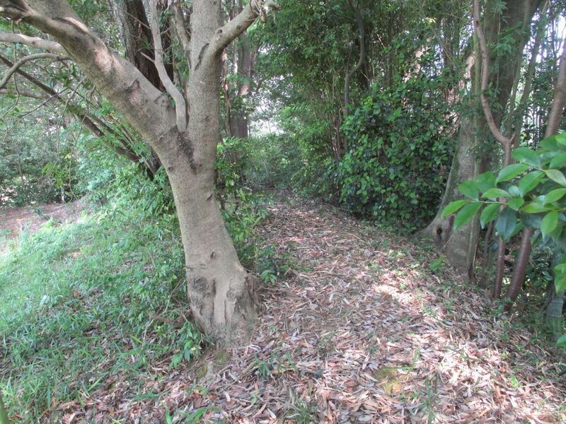 File:Kozubetajou (18).jpg