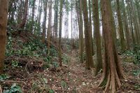 Matsuida34.jpg