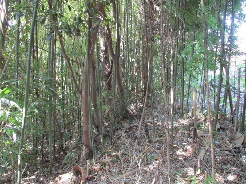 File:MikawaAonojou (2).jpg
