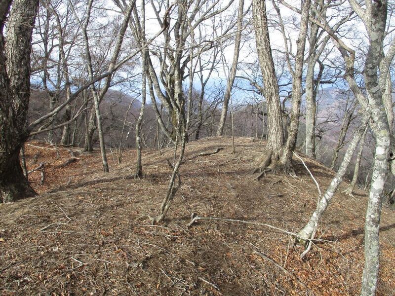 File:MisakajouB (77).jpg