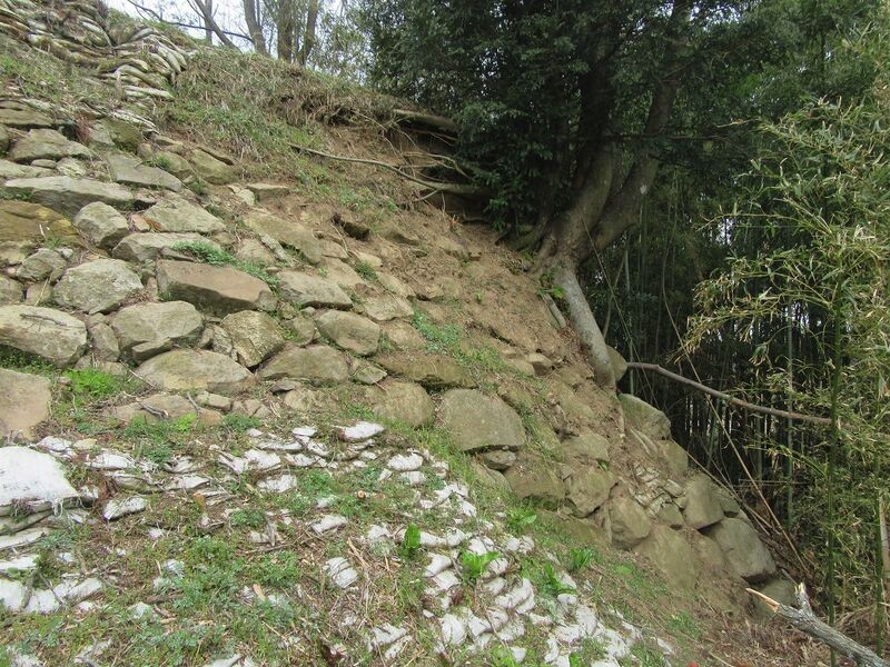 File:Moriyama4.jpg