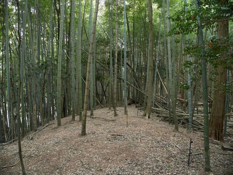File:Ogawanishinokoka35.jpg