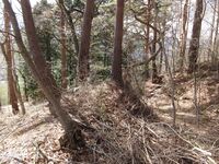 YabuharaToride (5).JPG