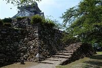 Echizen6.jpg
