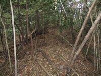 IseIchibajou003.jpg