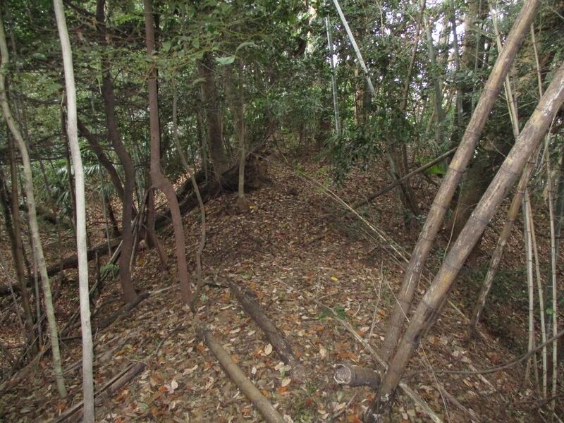 File:IseIchibajou003.jpg