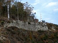 Kannonji Castle 304 Big Ishigaki 2018.jpg