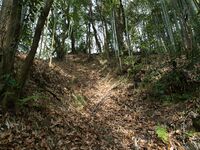 Kaseyamakyoto8.jpg