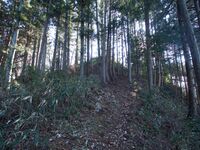 Katsuyamatsuru26.jpg