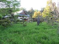 Kawawada (10).JPG
