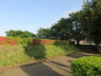 KitaaranamiToride (2).JPG