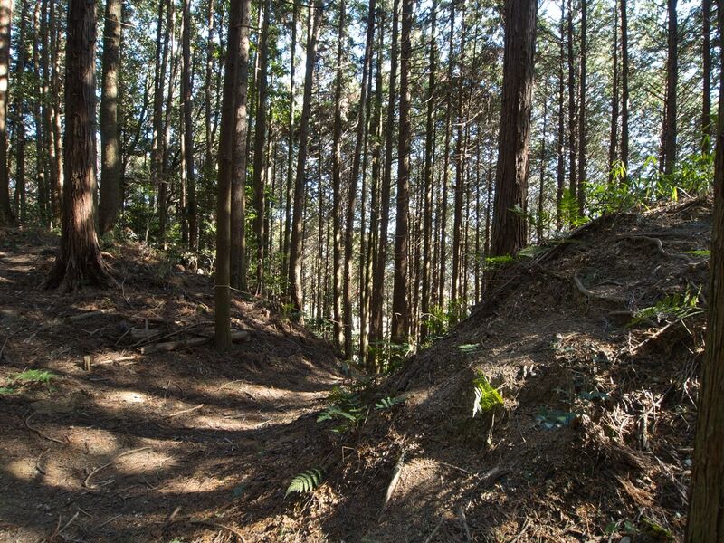 File:Kokashingushi12.jpg